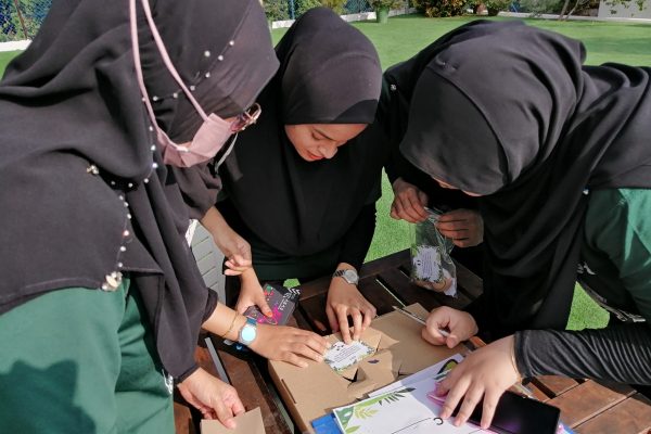 IMG_20250321_014002_988