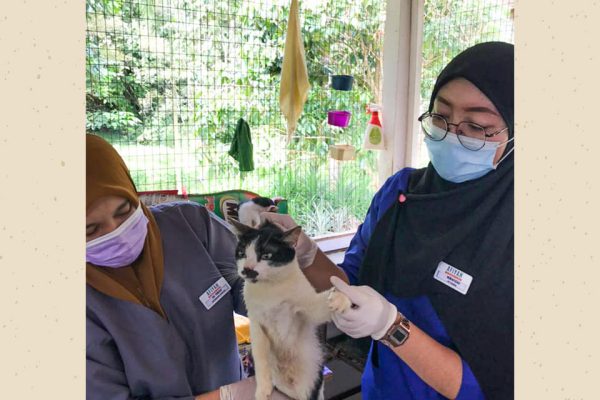 afiyah-vet-monthly-visit (1)